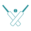 bron-icon-cricket